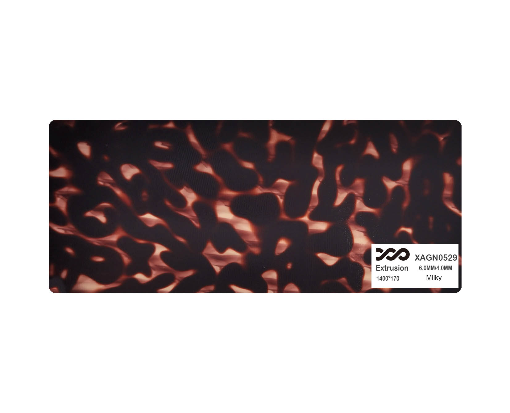 XAGN0529