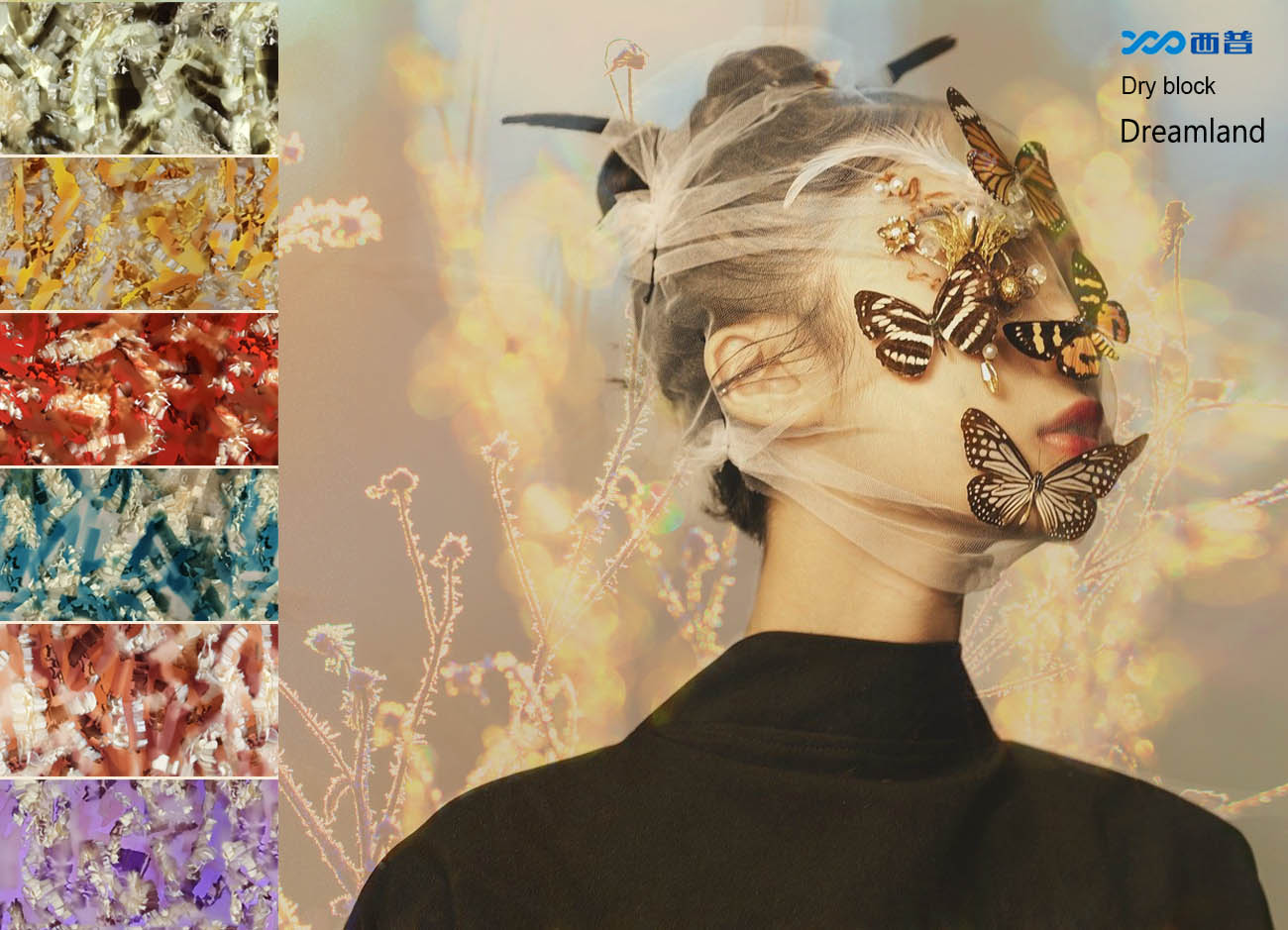 dreamland