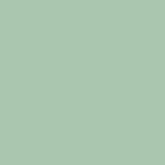 X1N-0191