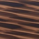 XEN0604
