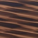 XEN0604
