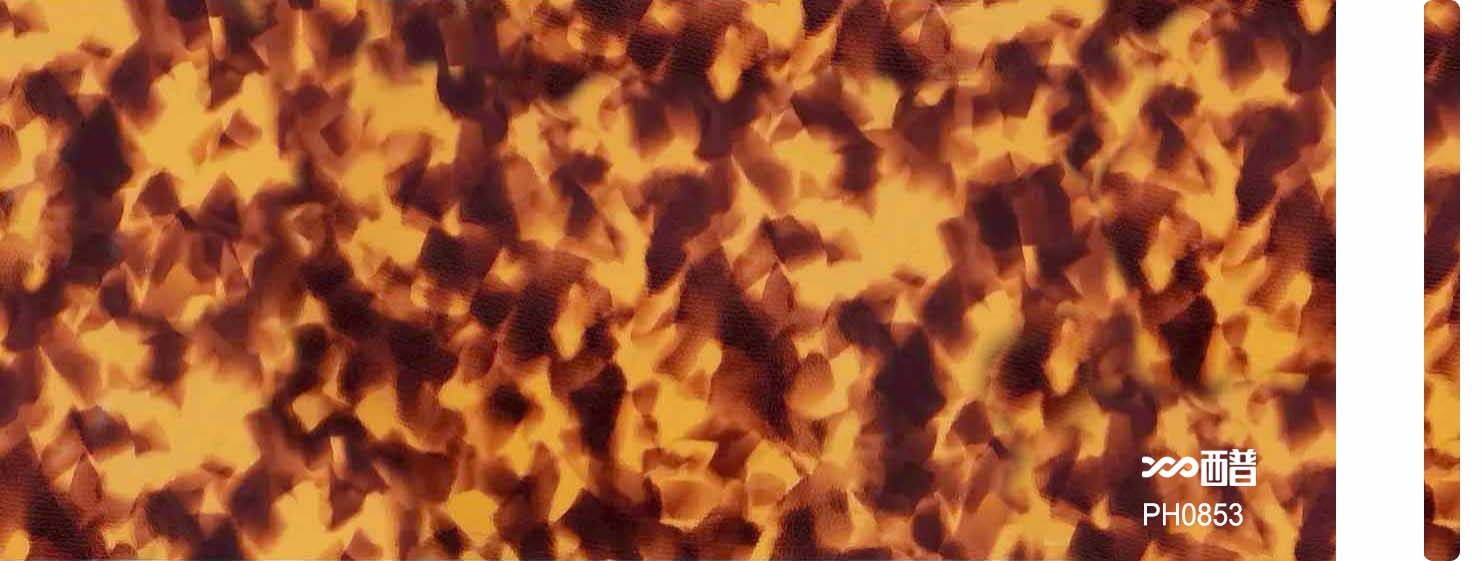 PH0853