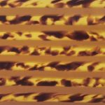 PL2C0008