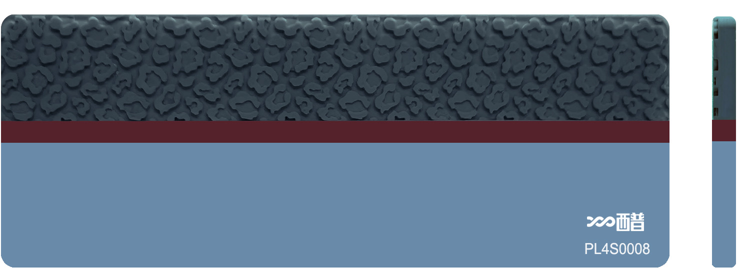 PL4S0008