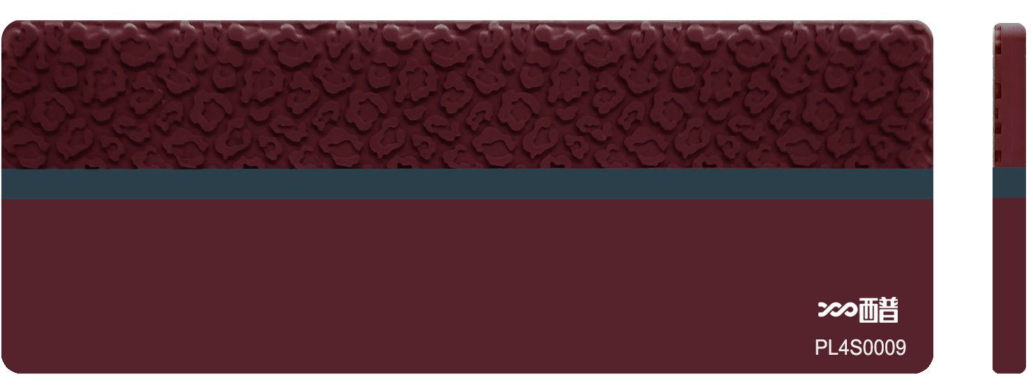 PL4S0009