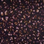 PTC0433
