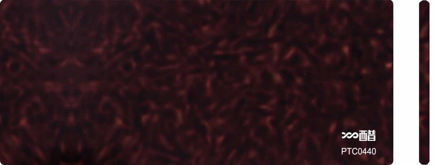 PTC0440