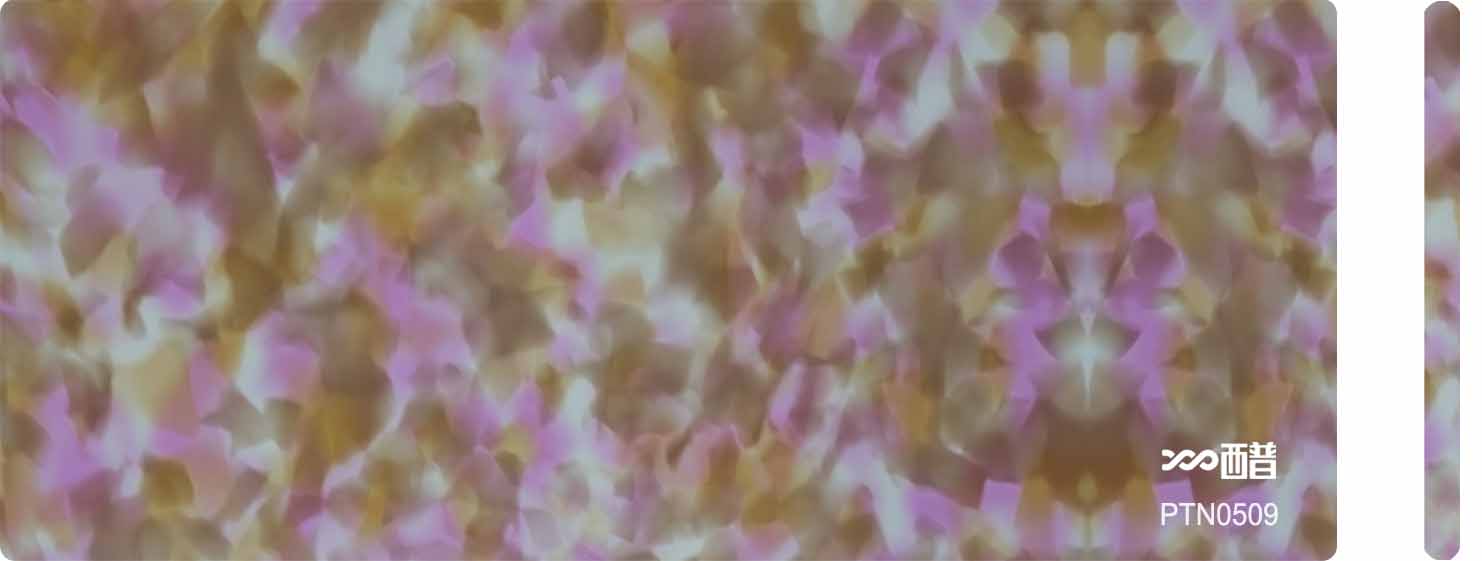 PTN0509