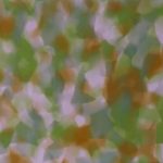 PTN0513