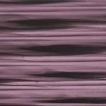 XSN0676