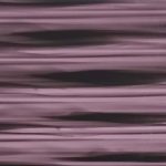XSN0676
