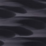 XWN0677