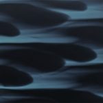 XWN0679