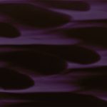 XWN0681
