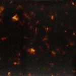 PH0069