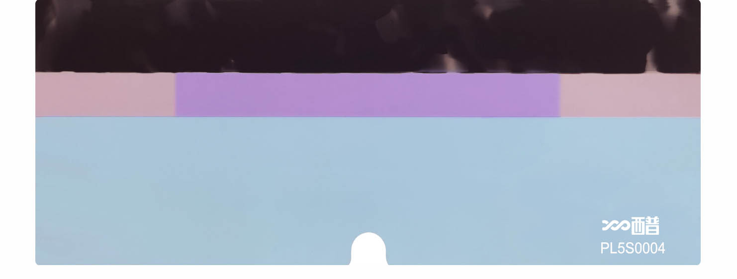 PL5S0004