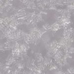 PTC0254