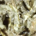 PTC0319
