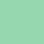 X1N-0060