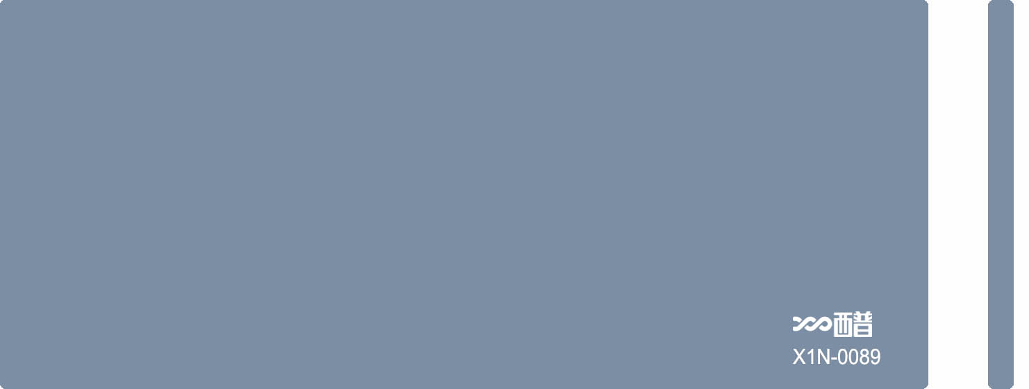X1N-0089