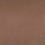 X1N-0096S
