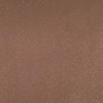 X1N-0096S