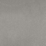 X1N-0099S