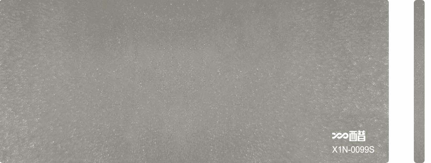 X1N-0099S