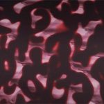 XAGN0533