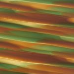 XEN0436