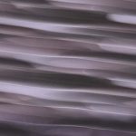 XEN0441