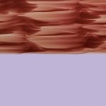 XON0384