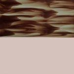 XON0386