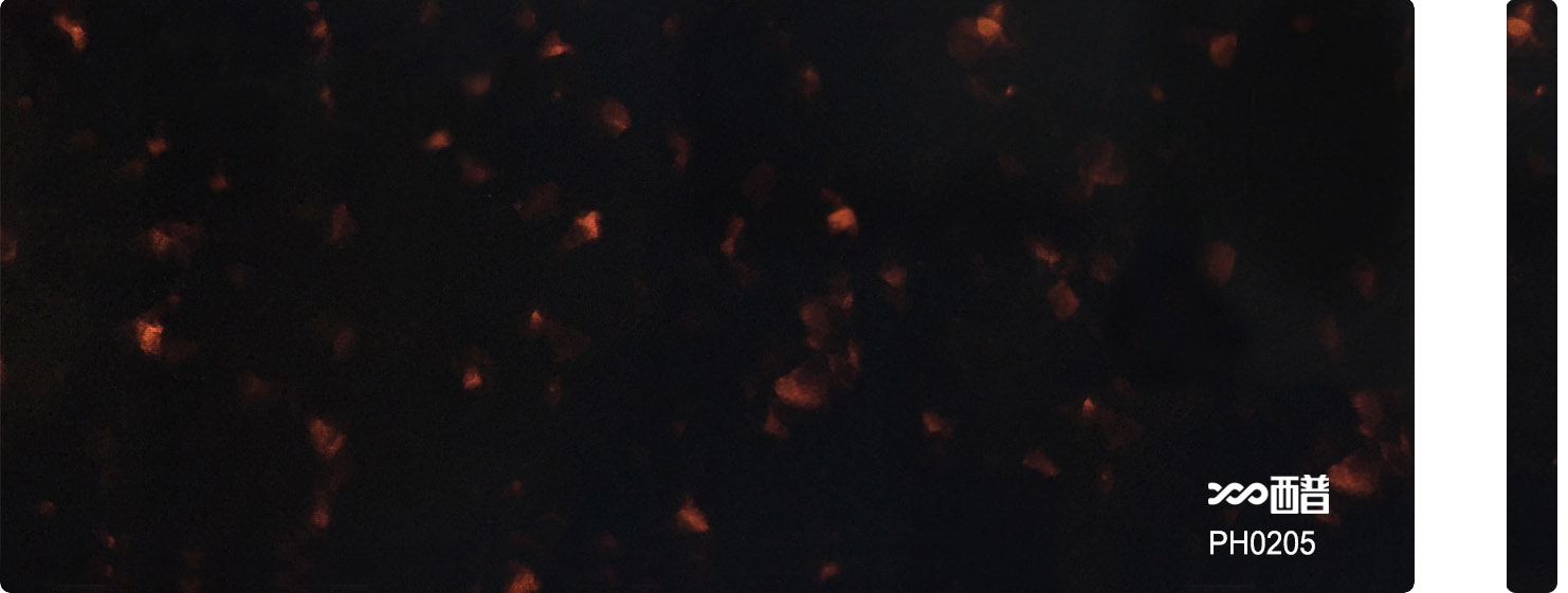 PH0205