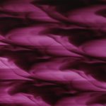 XRN0367