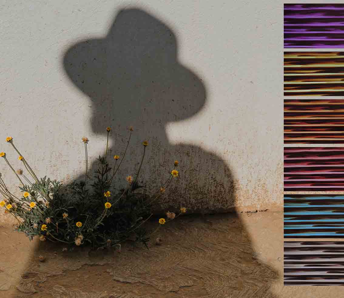 Shadow