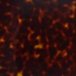 PHS0002