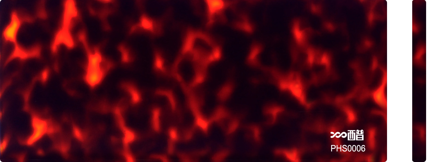 PHS0006