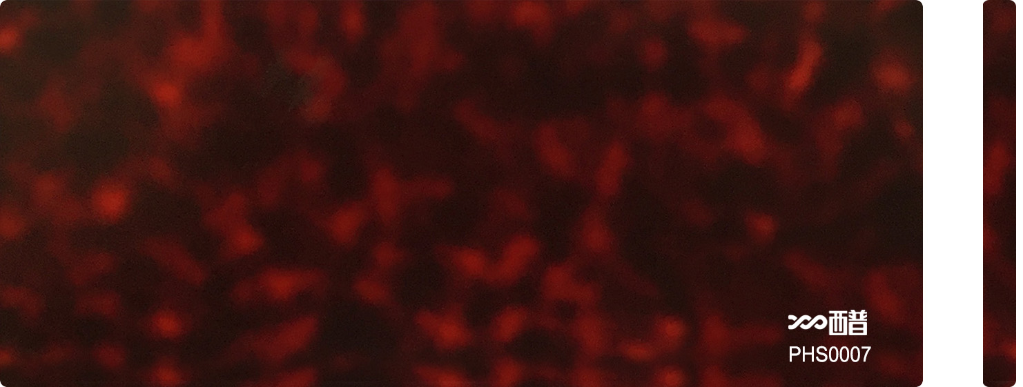 PHS0007
