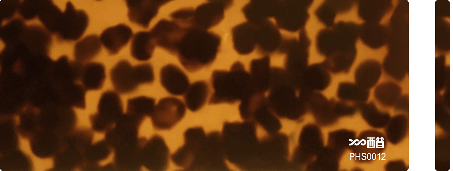 PHS0012