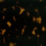 PHS0017