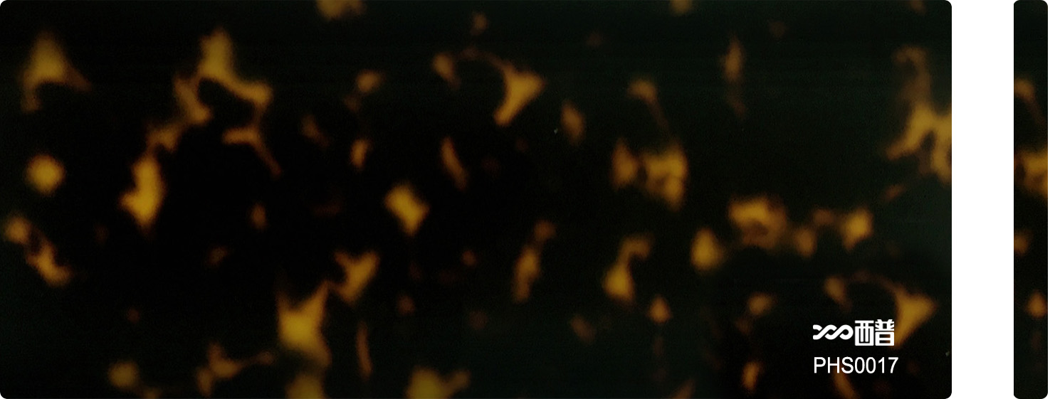 PHS0017