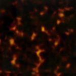 PHS0018