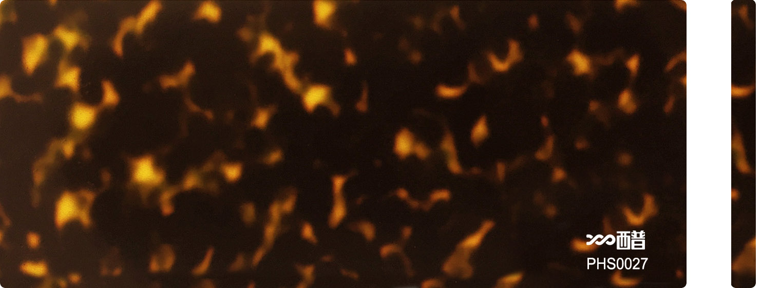 PHS0027