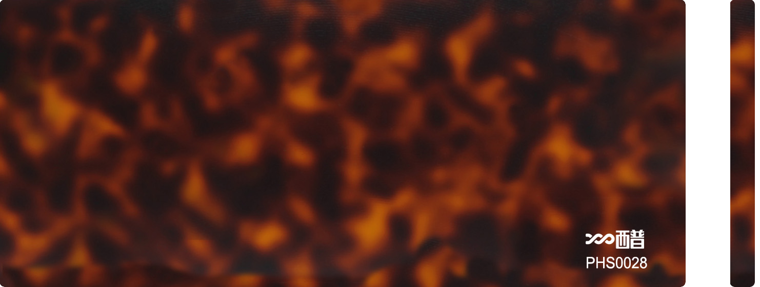 PHS0028