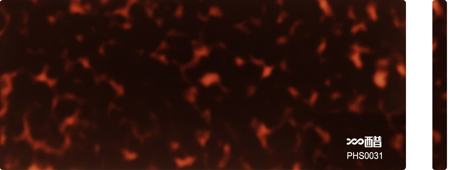PHS0031