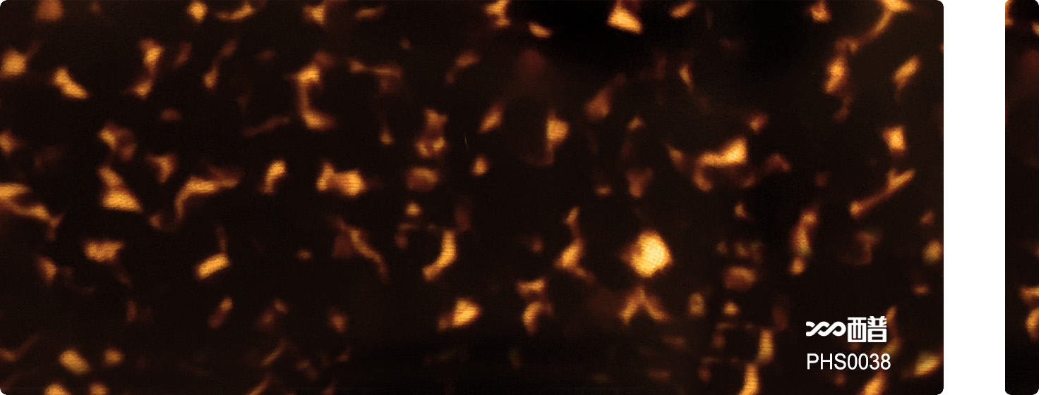 PHS0038