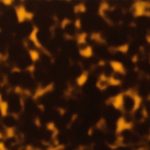 PHS0042