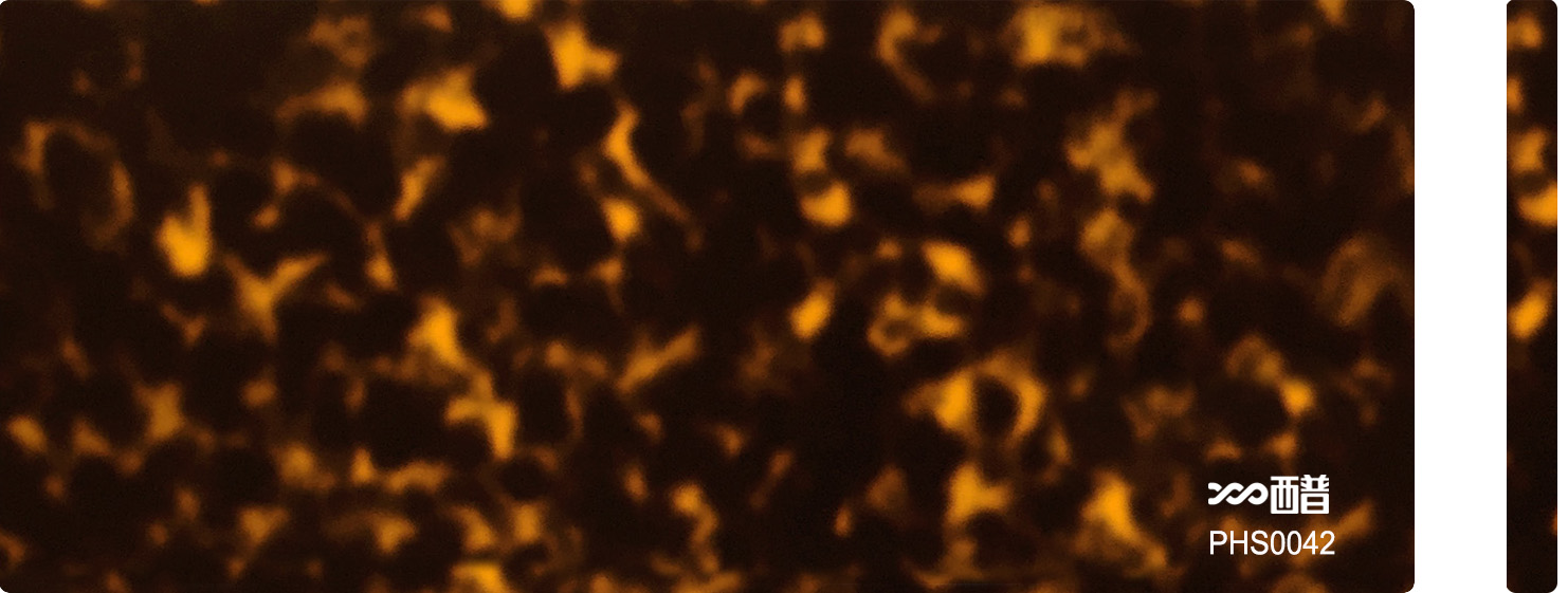 PHS0042