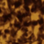 PHS0047